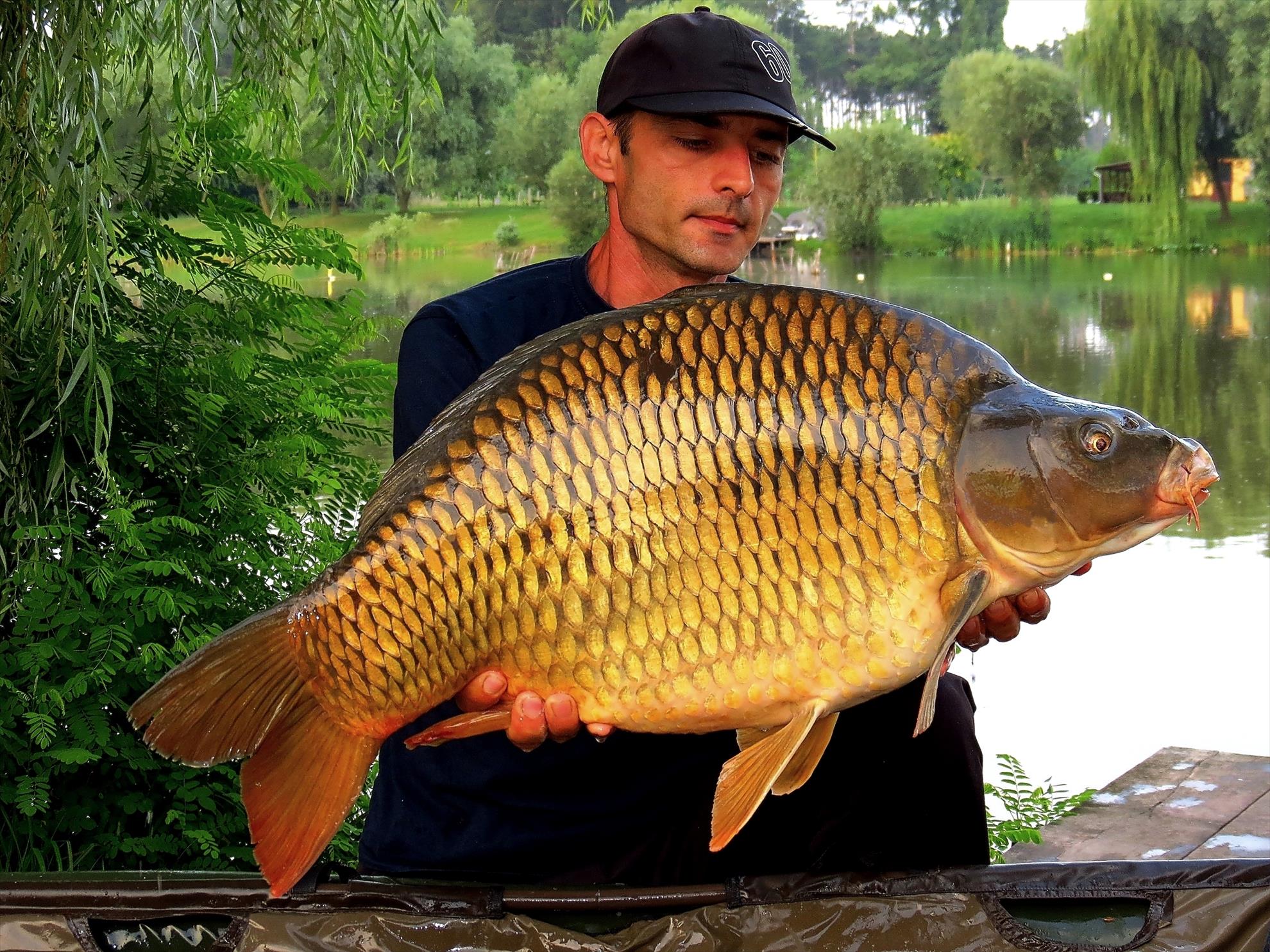 Palici - 002-img5945---1296-kg.jpg